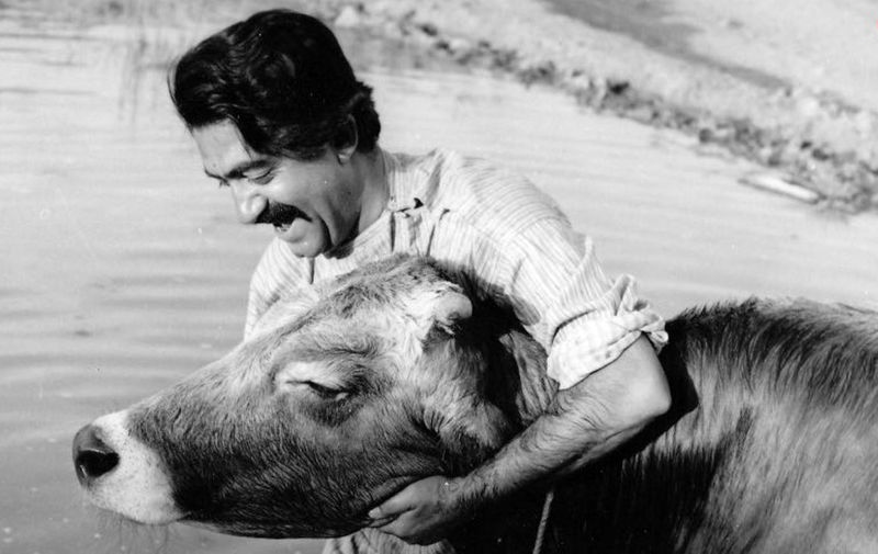 عزت‌الله انتظامی در صحنه‌ای از فیلم گاو