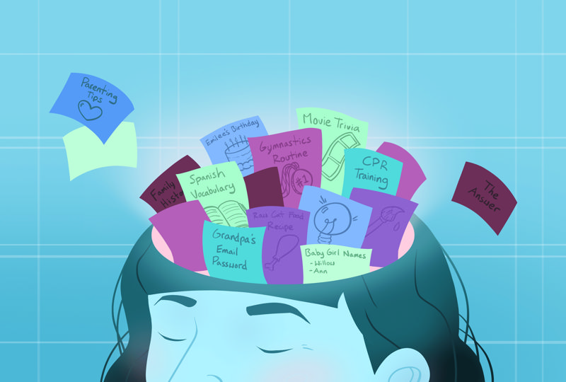 حافظه و اطلاعات مختلفی که می‌توان در آن ذخیره کرد