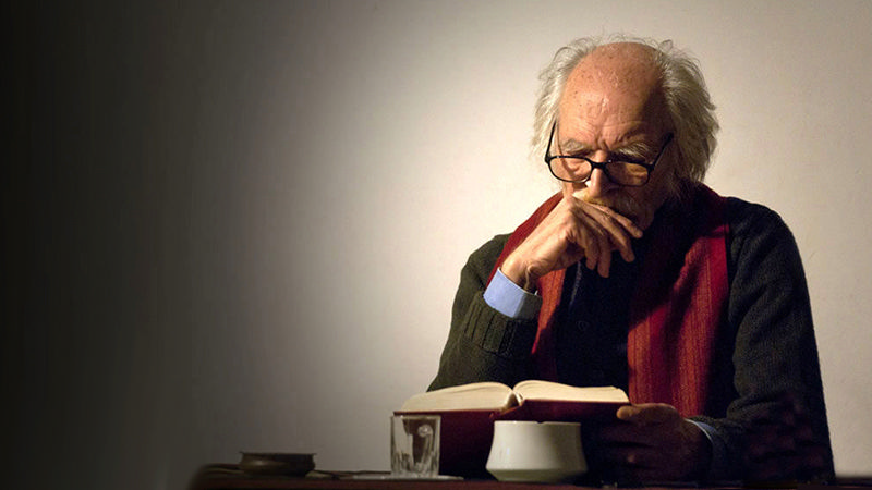 محمود دولت آبادی