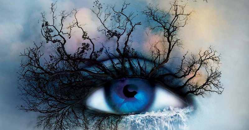 تصویر جلد اصلی مجموعه خردم کن