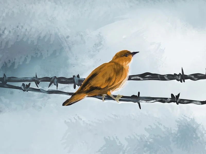 تصویری از کتاب انسان در جستجوی معنا